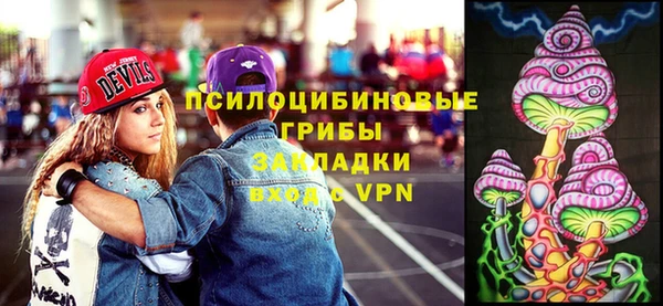 гидропоника Карпинск