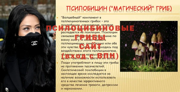 скорость Касимов