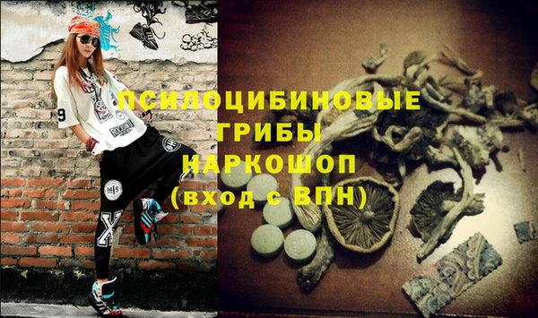 трава Кинешма